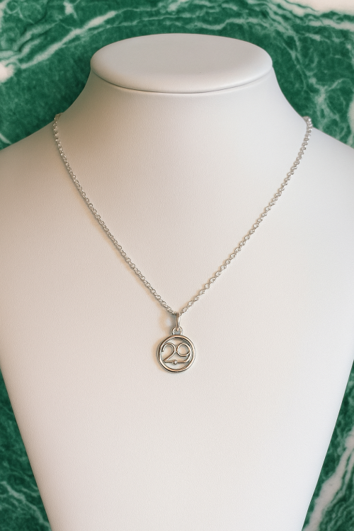 29 Silver Necklace 